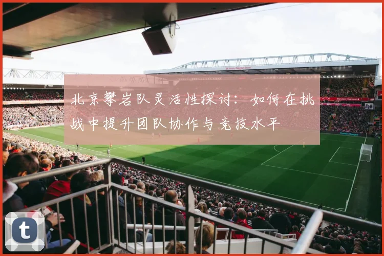 北京攀岩队灵活性探讨：如何在挑战中提升团队协作与竞技水平