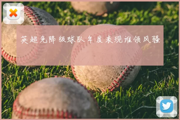 英超免降级球队年度表现谁领风骚