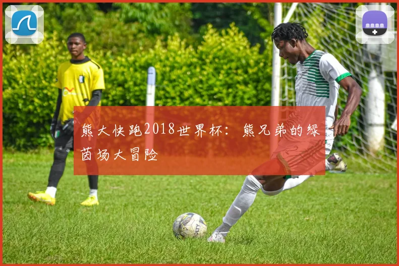 熊大快跑2018世界杯：熊兄弟的绿茵场大冒险