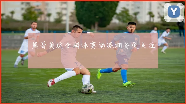 熊哥奥运会游泳赛场亮相备受关注