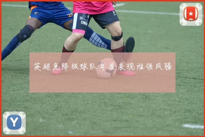英超免降级球队年度表现谁领风骚