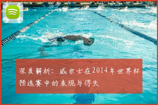 深度解析：威尔士在2014年世界杯预选赛中的表现与得失