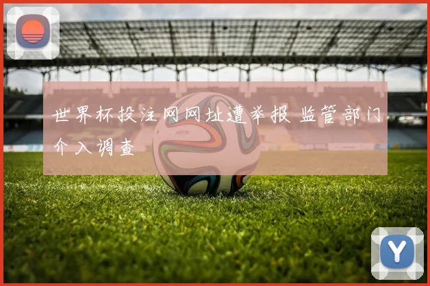 世界杯投注网网址遭举报 监管部门介入调查