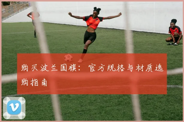 购买波兰国旗：官方规格与材质选购指南