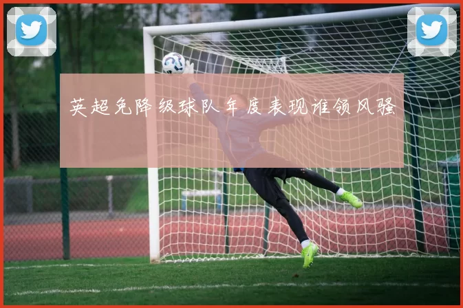 英超免降级球队年度表现谁领风骚