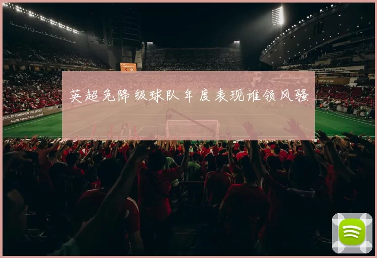 英超免降级球队年度表现谁领风骚