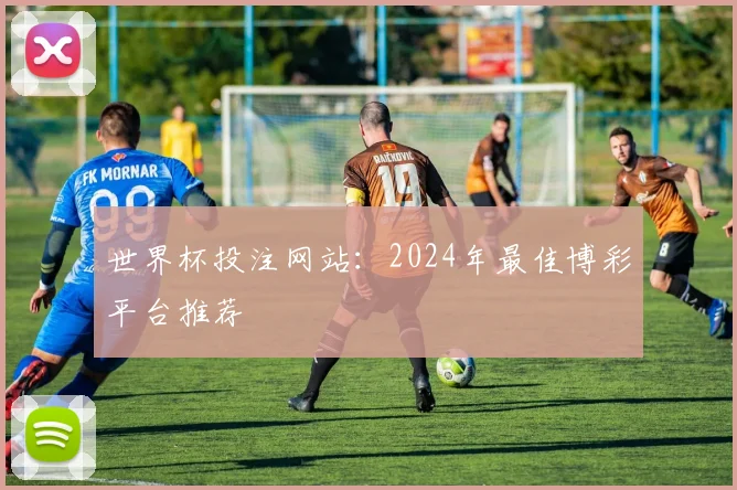 世界杯投注网站：2024年最佳博彩平台推荐