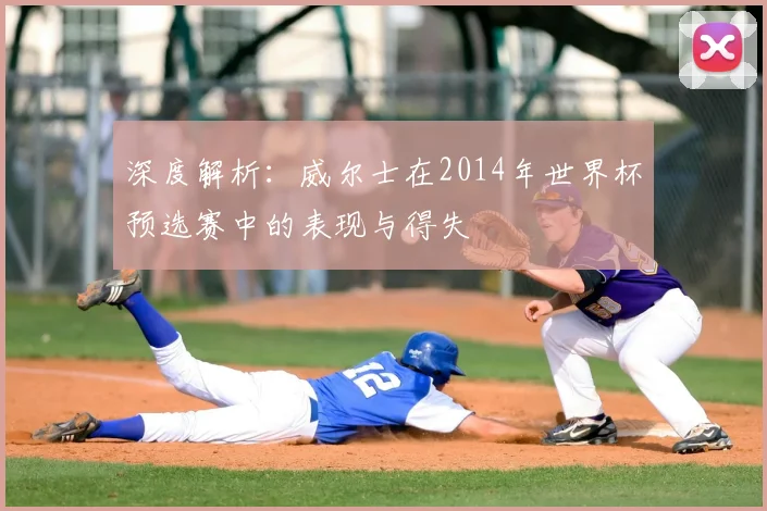 深度解析：威尔士在2014年世界杯预选赛中的表现与得失