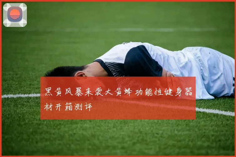黑黄风暴来袭大黄蜂功能性健身器材开箱测评