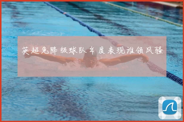 英超免降级球队年度表现谁领风骚