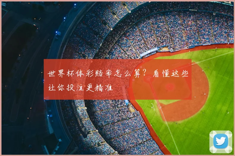 世界杯体彩赔率怎么算？看懂这些让你投注更精准