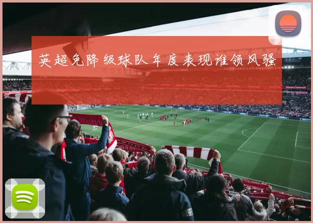英超免降级球队年度表现谁领风骚